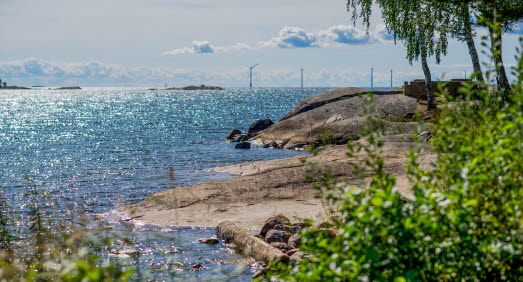 Naturbild med vatten, klippor och buskage 