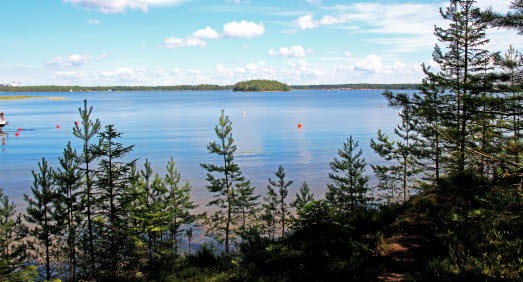 Vy över sjö. Träd i förgrunden