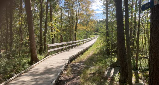 tillgänglighetsanpassad spång genom skogen