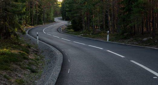 Bilväg i skogen