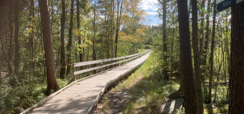 tillgänglighetsanpassad spång genom skogen