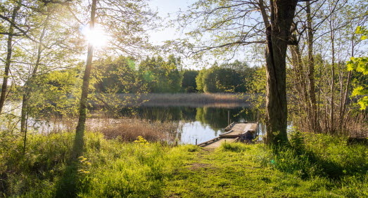 Eftermiddagssol på brygga i vattendrag.