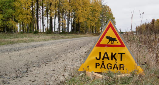 Varningsskylt för älgjakt